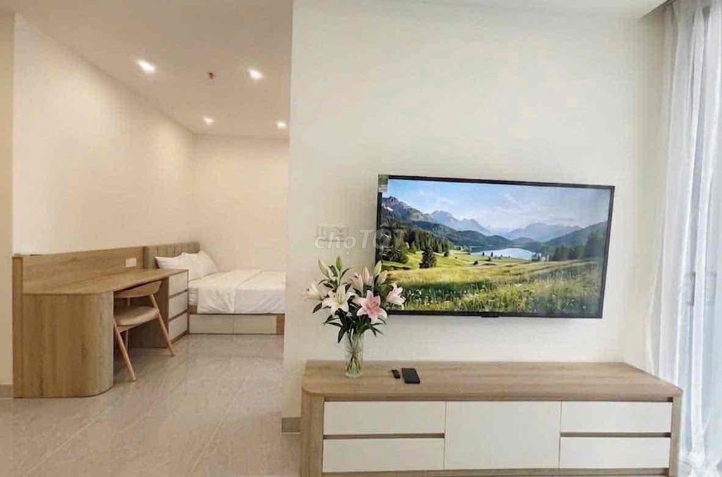 Премиум квартира Panorama 50 м², 1 спальня+, Ан Хай Тай — 20 млн ₫/мес 6